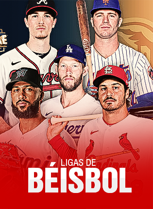 Ligas de Béisbol