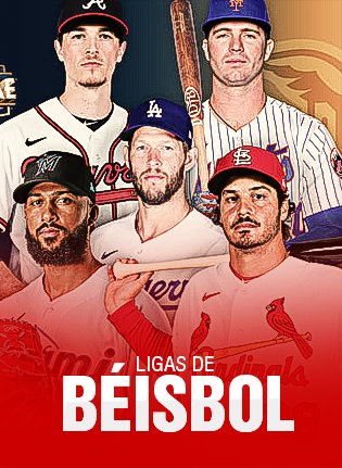 Ligas de Béisbol
